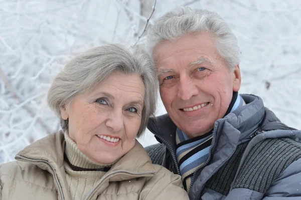 Senior couple in winter — Stock Photo, Image