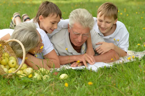 Happy family having a picnic on a sunny summer day — Stock Photo, Image