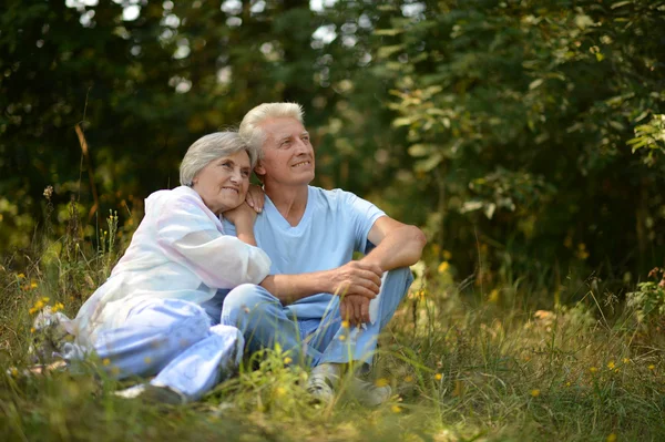 Happy elder couple resting on grass at nature