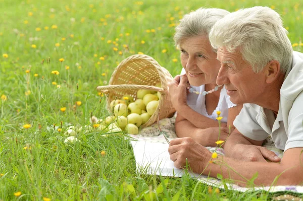 Picnic in the summer — Stock Photo, Image