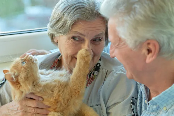 Casal mais velho com gato — Fotografia de Stock