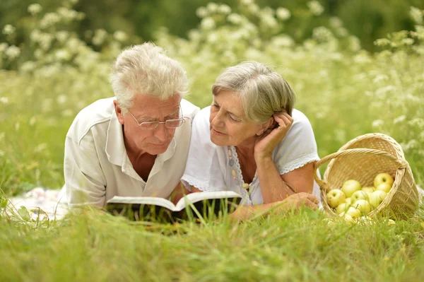 Picnic in the summer — Stock Photo, Image