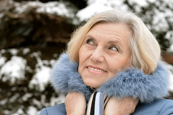 Vieja en el invierno —  Fotos de Stock