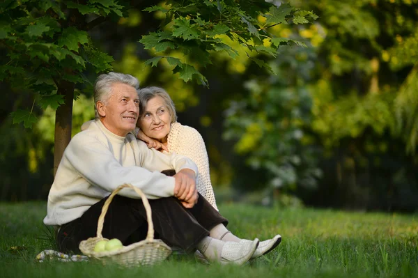 Nettes Seniorenpaar — Stockfoto