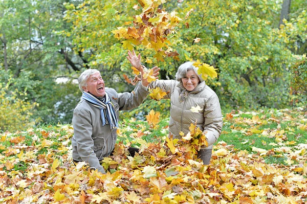 Old couple in autumn park — Stock Photo, Image