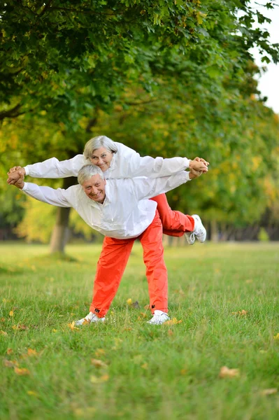 Casal sênior exercitando no parque — Fotografia de Stock