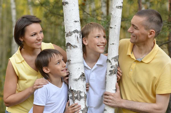 Yaz parkında mutlu bir aile — Stok fotoğraf