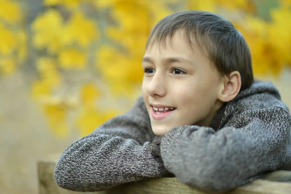 Chlapec v podzimním parku — Stock fotografie