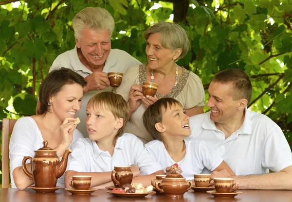 Щаслива сім'я в літньому парку — стокове фото