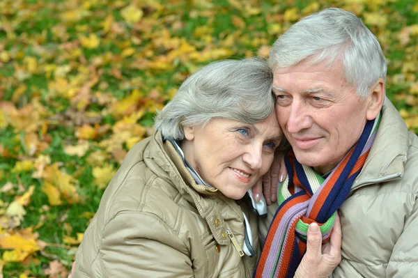 Mature couple walking in the park — Stock Photo, Image