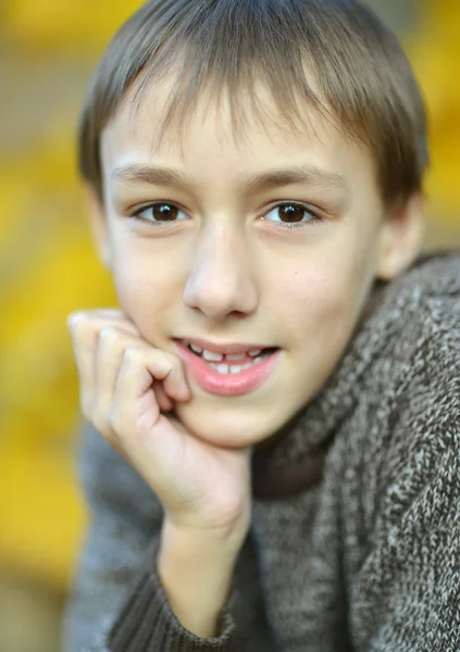 Boy in autumn park — Stock Photo, Image