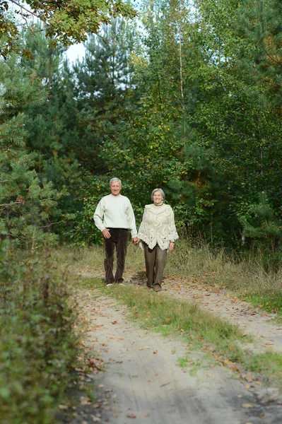 Nettes Seniorenpaar — Stockfoto