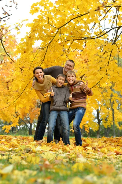 Bonne famille dans le parc d'automne — Photo