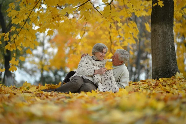 Pasangan senior yang bahagia duduk di taman musim gugur — Stok Foto