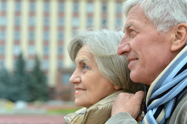 Bonita pareja de ancianos —  Fotos de Stock