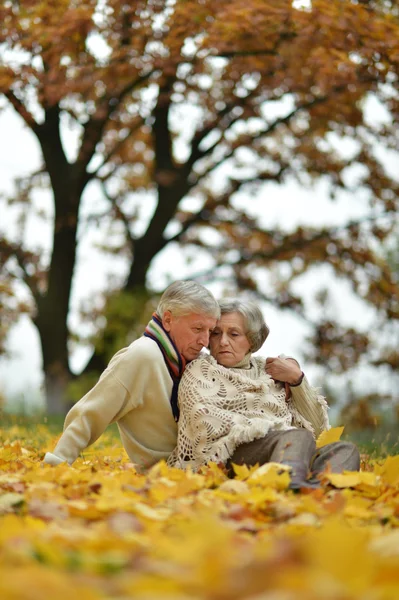 Retrato de una hermosa pareja de mediana edad — Foto de Stock