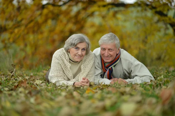 Gelukkige volwassen paar wandelen in het park — Stockfoto