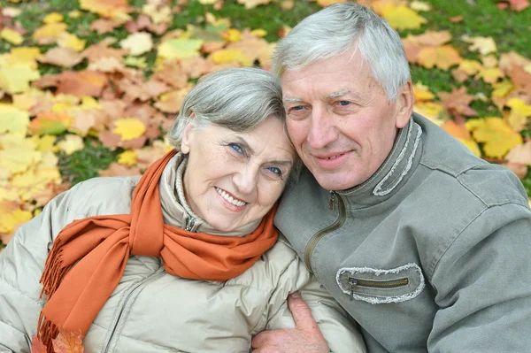 Happy mature couple walking in the park — Stock Photo, Image