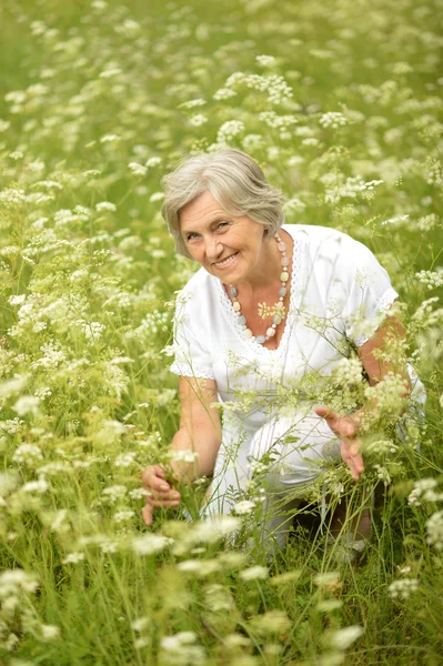 Nice old woman in the middle of the lawn — Stock Photo, Image