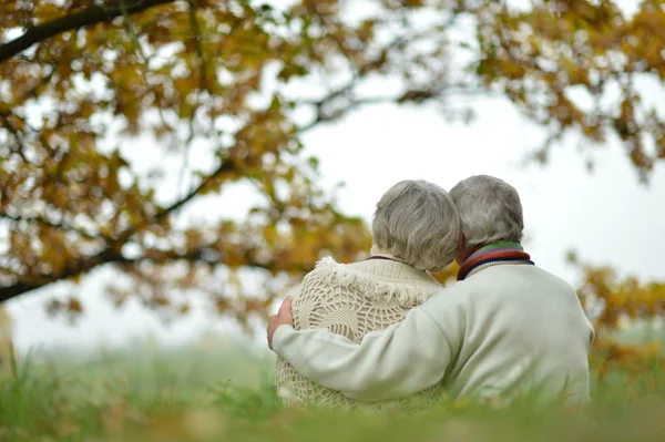 Heureux couple de personnes âgées assis dans le parc d'automne — Photo