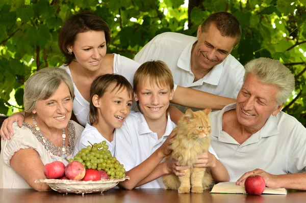 Familia feliz en el parque de verano — Foto de Stock