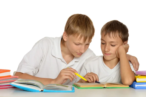 Dois irmãos fazendo lição de casa — Fotografia de Stock