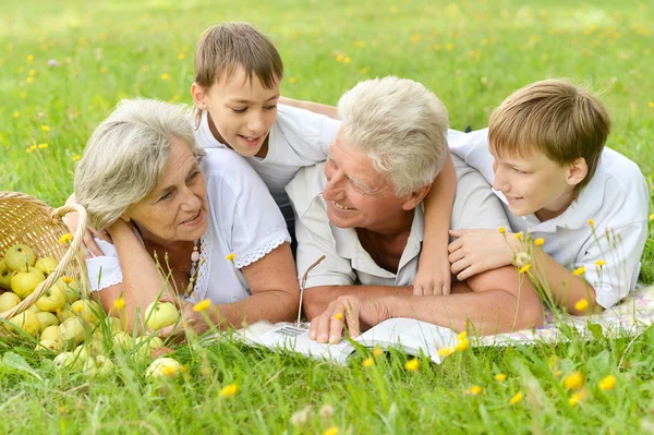 Mutlu bir aile piknik güneşli yaz gününde — Stok fotoğraf