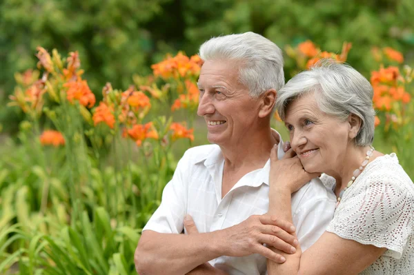 Kärleksfull äldre par — Stockfoto