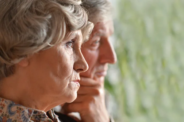 Porträt eines älteren Ehepaares — Stockfoto