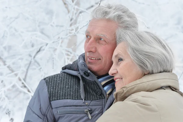 Couple aîné en hiver — Photo