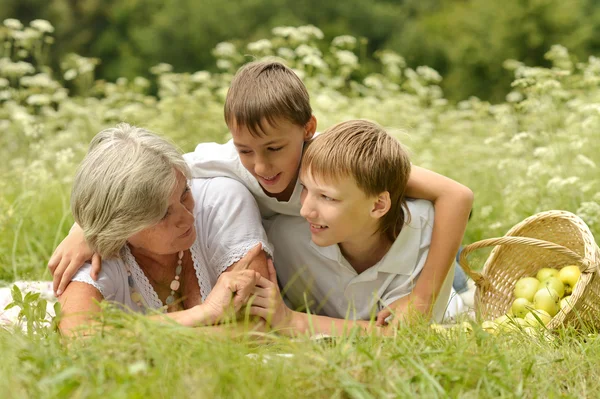 Mutlu bir aile piknik güneşli yaz gününde — Stok fotoğraf