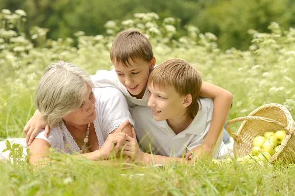 Mutlu bir aile piknik güneşli yaz gününde — Stok fotoğraf