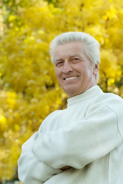 Hombre viejo feliz — Foto de Stock