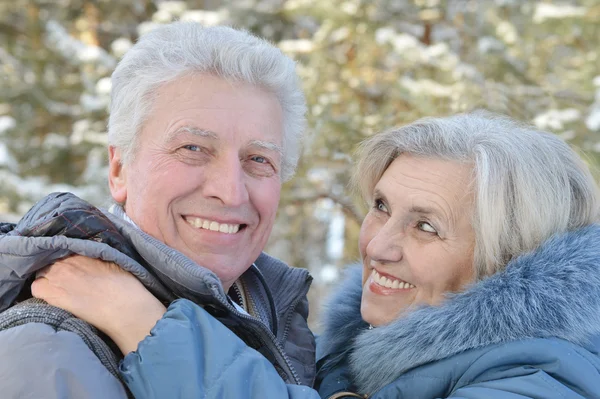 Pareja mayor en invierno —  Fotos de Stock