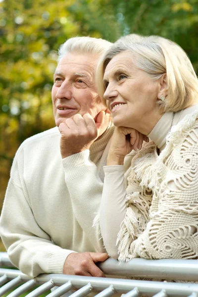 Casal sênior no parque de outono — Fotografia de Stock