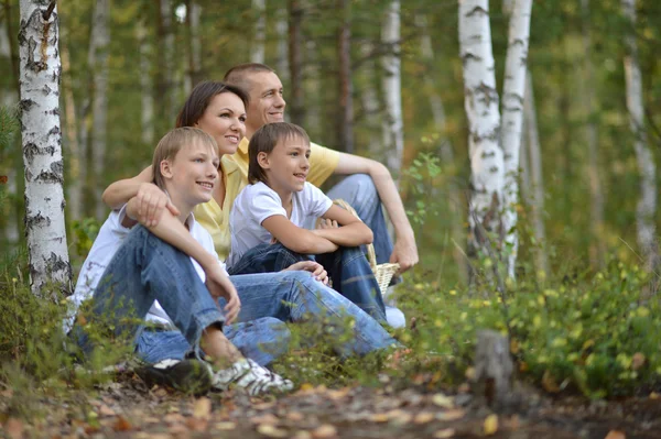 Счастливая семья в березовом лесу — стоковое фото