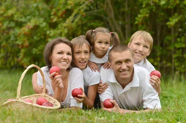 Familie auf Picknick — Stockfoto