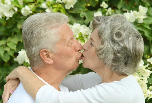 Happy elder couple — Stock Photo, Image