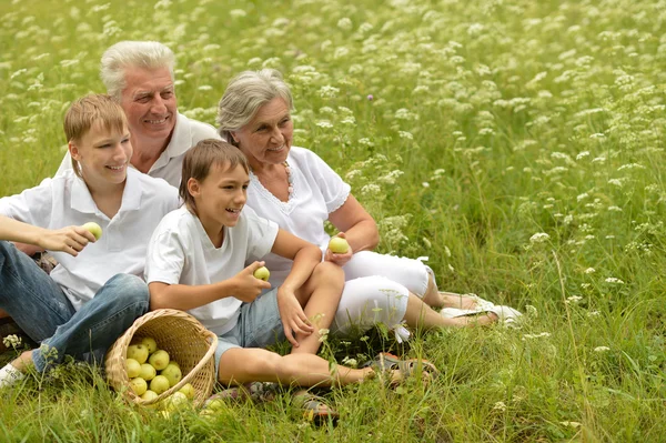 Glückliche Familie bei einem Picknick an einem sonnigen Sommertag — Stockfoto