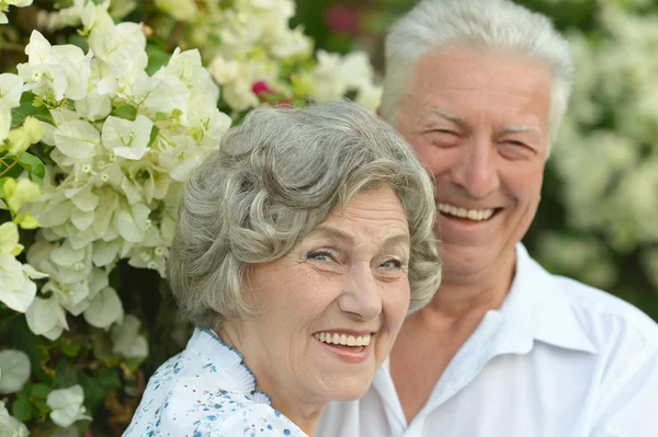 Happy elder couple — Stock Photo, Image