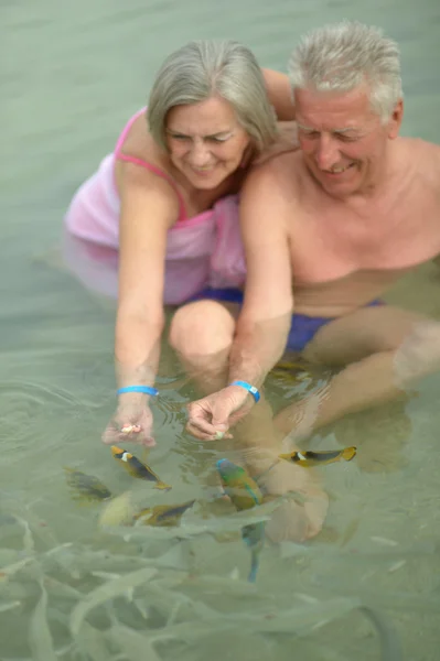 Couple âgé nourrissant des poissons — Photo