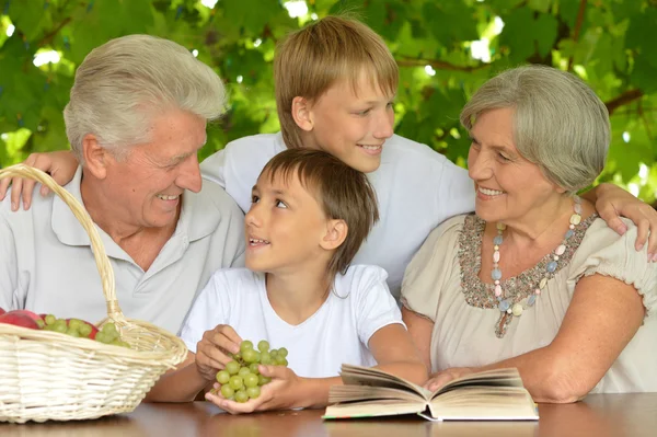 Бабушка и дедушка с внуками читают книгу — стоковое фото