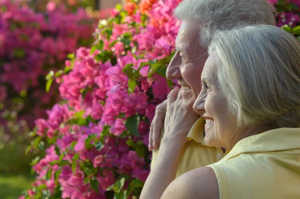 Feliz pareja de ancianos — Foto de Stock