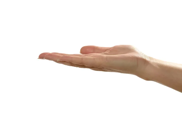 Hand holding something — Stock Photo, Image