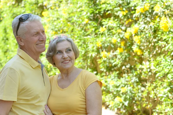 Happy senior couple — Stock Photo, Image