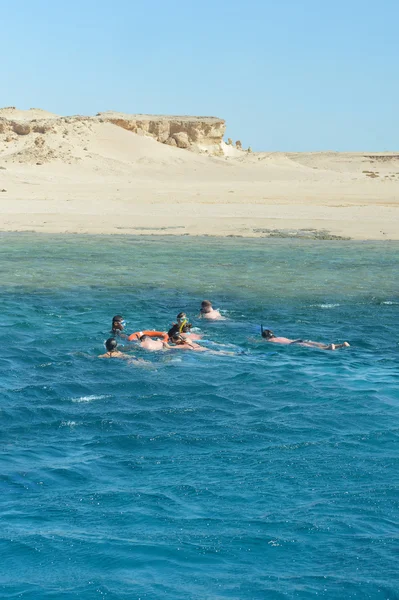 Buceadores nadando en el mar — Foto de Stock