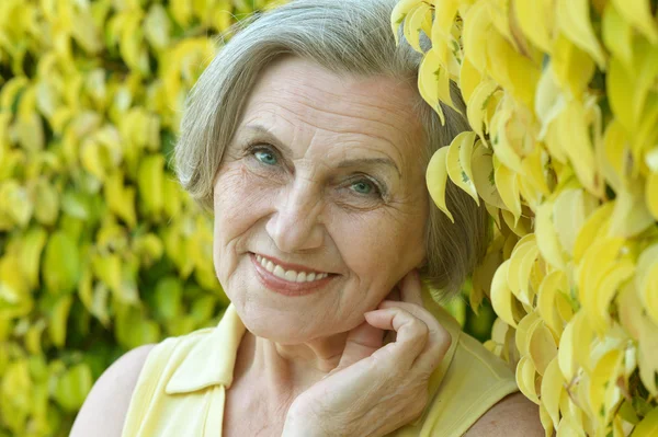 Senior woman on nature — Stock Photo, Image