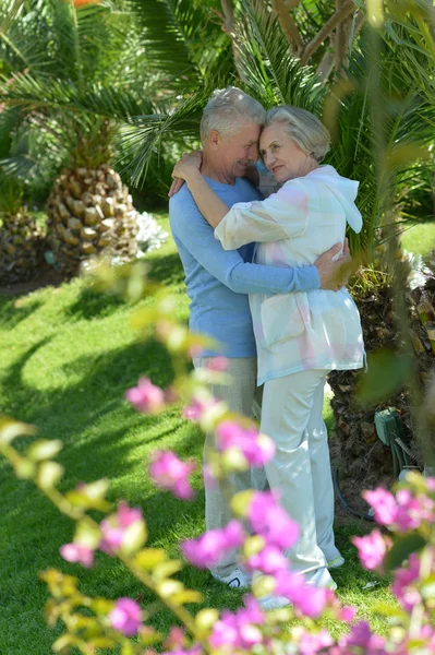 Pareja anciana amorosa —  Fotos de Stock