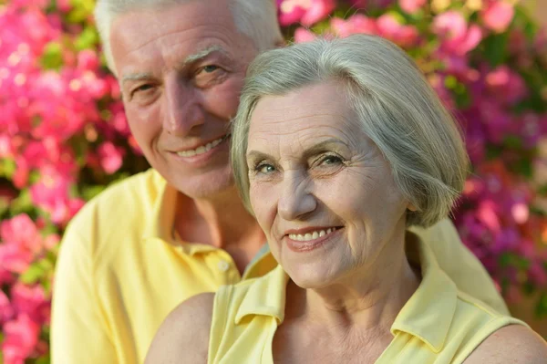 Senior couple at the resort — Stock Photo, Image