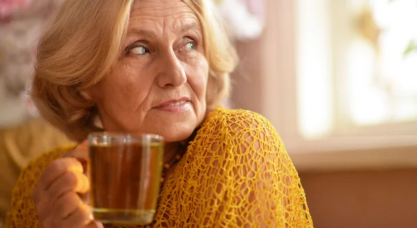 Mujer anciana caucásica en casa —  Fotos de Stock